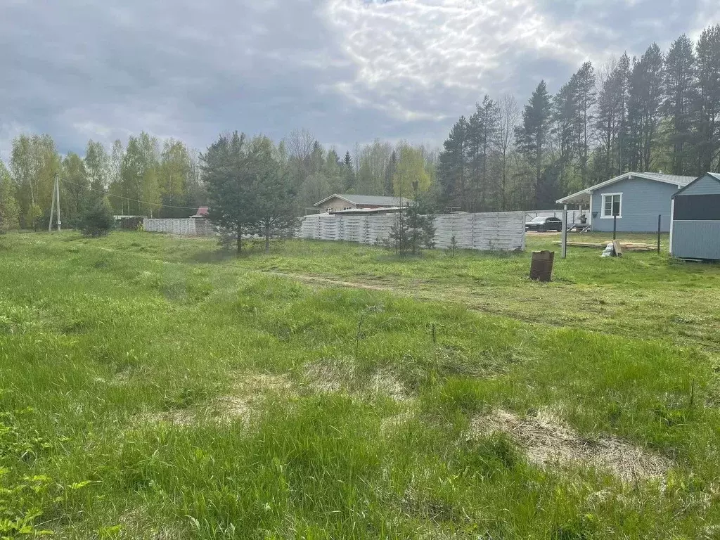 Участок в Новгородская область, Боровичский район, Сушанское с/пос, ... - Фото 2