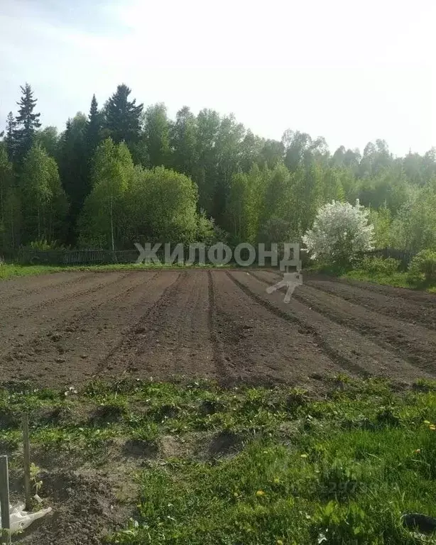 Участок в Томская область, Томский район, д. Кисловка, Огонек садовое ... - Фото 1