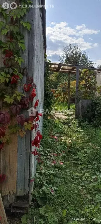 Участок в Тюменская область, Тобольский муниципальный округ, ... - Фото 1