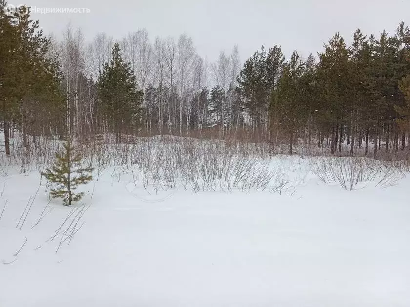 Участок в село Перевалово, коттеджный посёлок Родники (15 м) - Фото 0