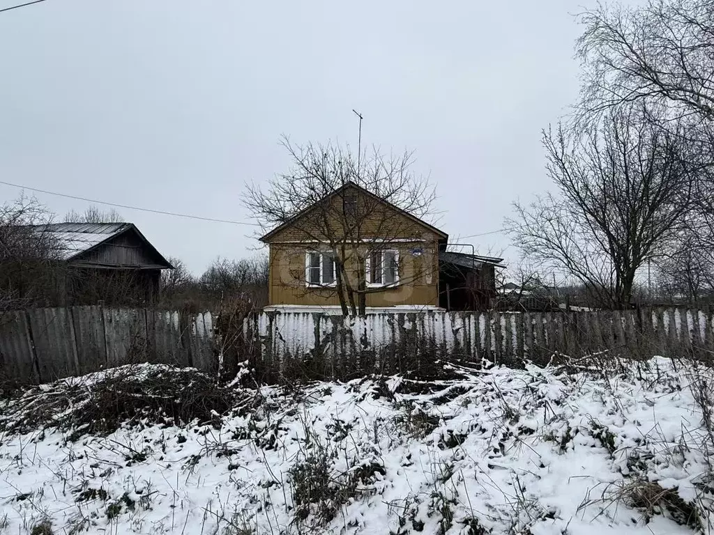 Дом в Тамбовская область, Мичуринский муниципальный округ, с. Борщевое ... - Фото 2