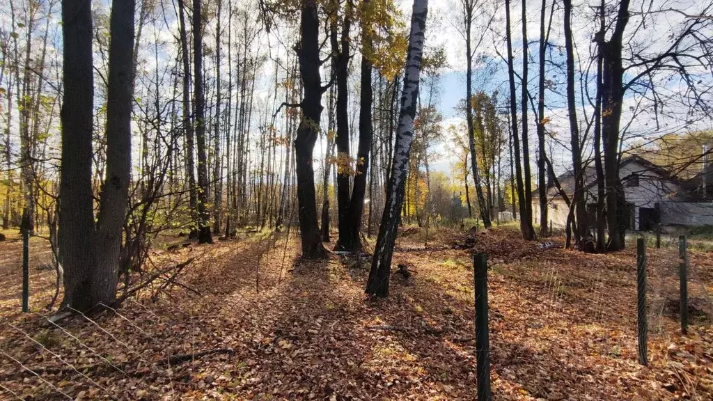 Участок в Тульская область, Киреевский район, Красноярское ... - Фото 0