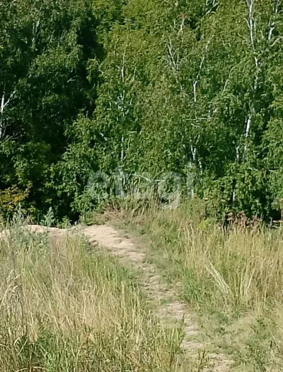 Участок в Омская область, Омский район, Красноярское с/пос, д. Нижняя ... - Фото 1