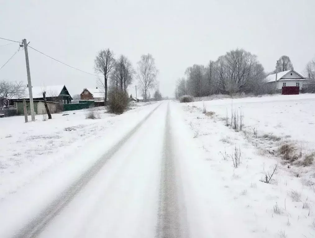 Участок в Владимирская область, Ковровский район, Новосельское с/пос, ... - Фото 2