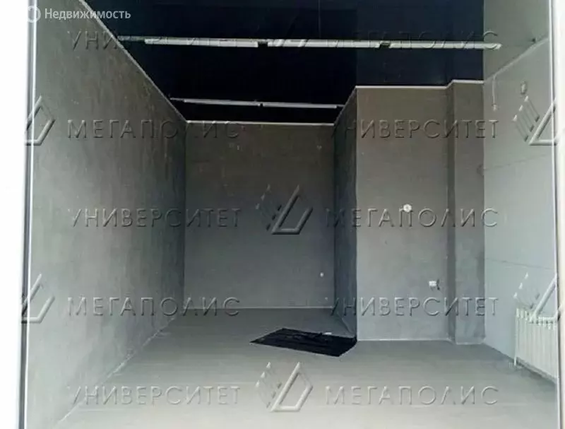 Торговая площадь (54 м) - Фото 2