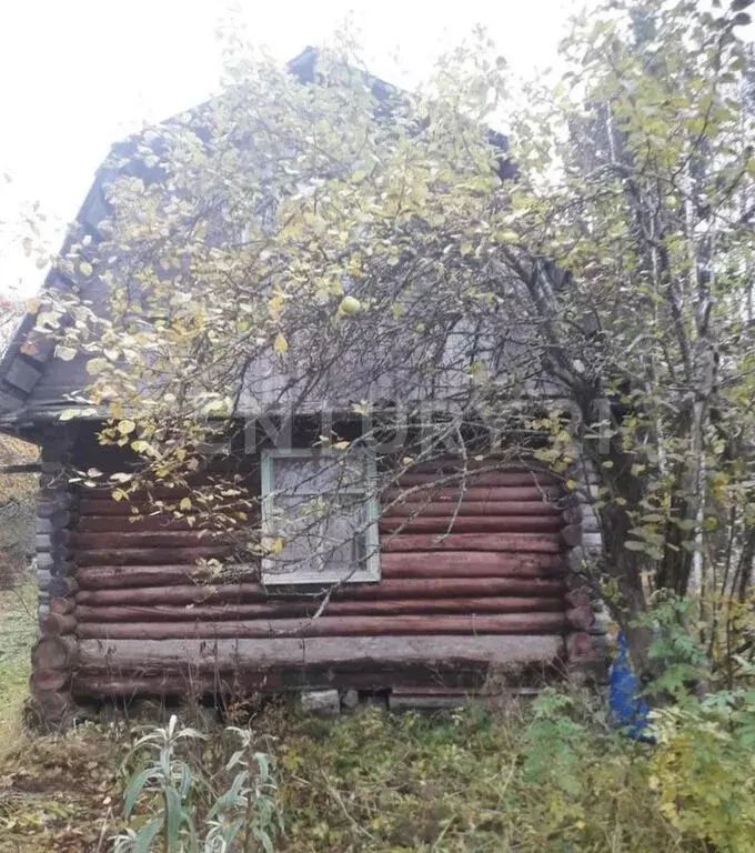 Участок в Кисельнинское сельское поселение, садоводческий массив ... - Фото 1