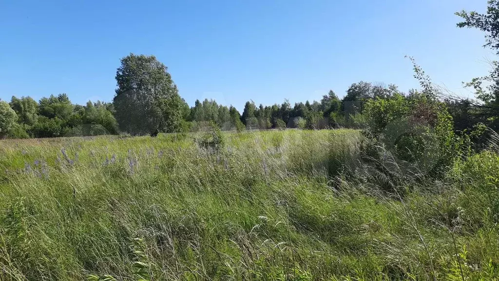 Участок 5,55 га (СНТ, ДНП) - Фото 0