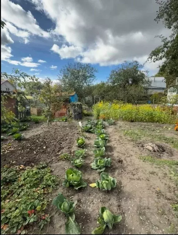 Дом в Брянская область, Брянский район, Новодарковичское с/пос, пос. ... - Фото 1