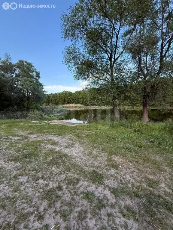 Участок в Рамонский район, Карачунское сельское поселение, село Сенное ... - Фото 2