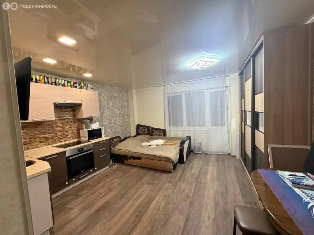 Квартира-студия: Нижний Новгород, Победная улица, 6 (26.9 м) - Фото 2