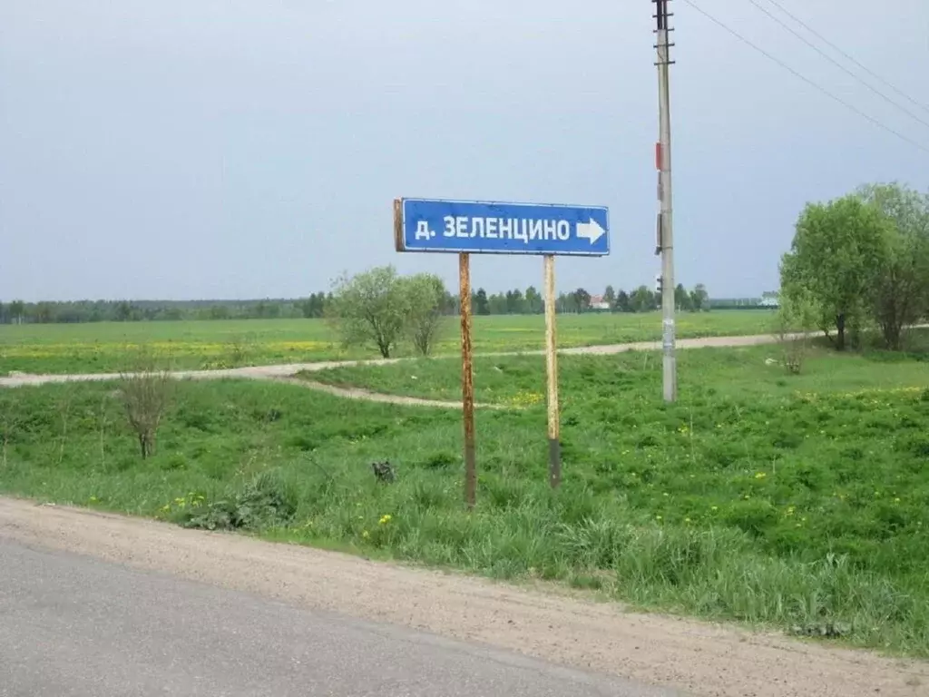 Участок в Владимирская область, Александровский район, Каринское ... - Фото 0