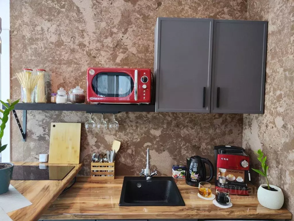 Студия Ленинградская область, Всеволожский район, Свердловское ... - Фото 0