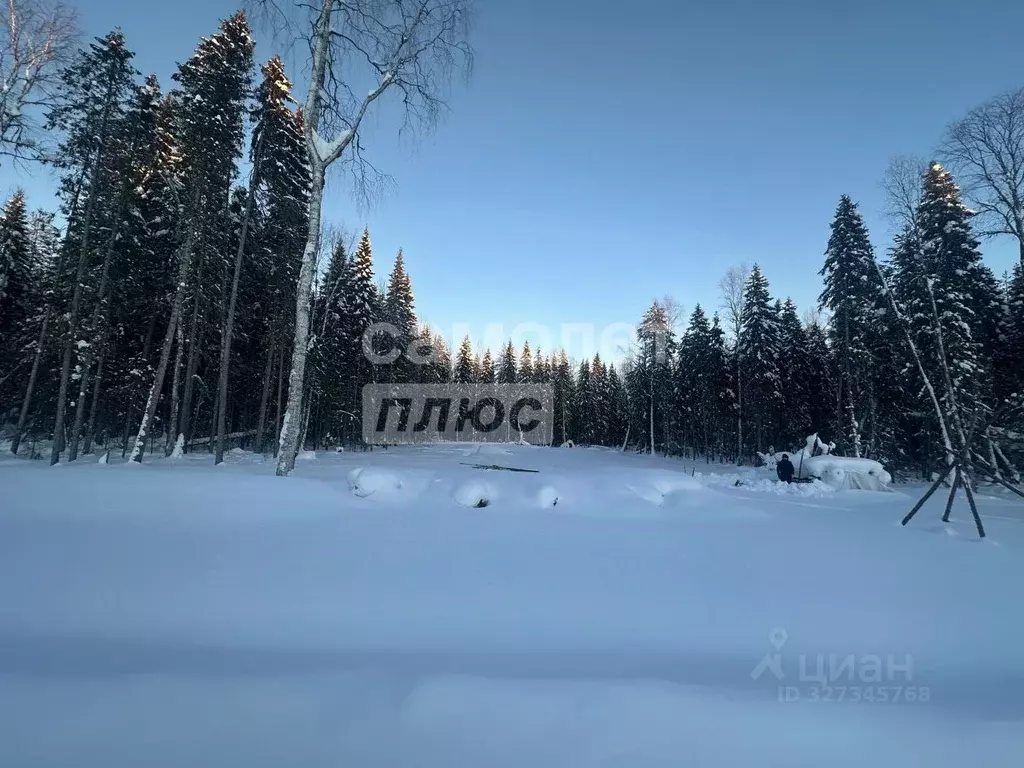 Участок в Коми, Сыктывкар Усадебная ул. (14.1 сот.) - Фото 1