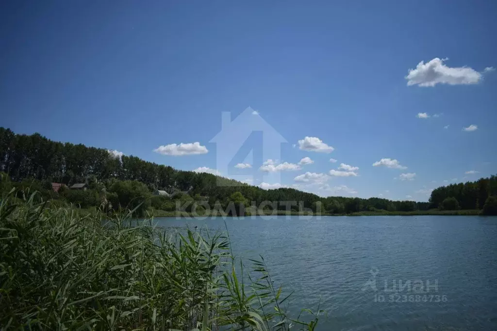 Участок в Воронежская область, Рамонский район, Новоживотинновское ... - Фото 2
