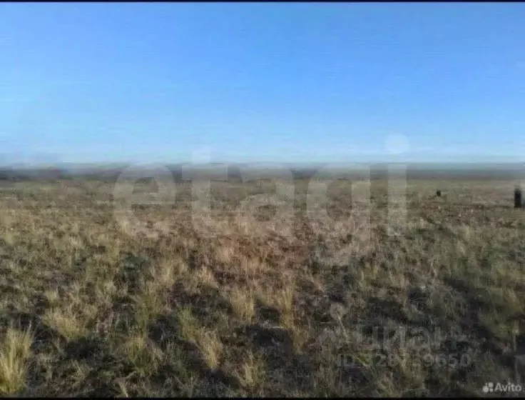 Участок в Иркутская область, Ольхонский район, Хужирское муниципальное ... - Фото 1