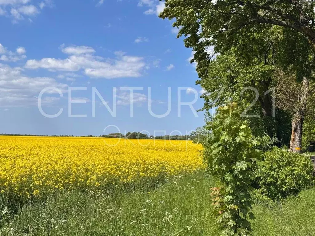 Участок в Калининградская область, Гурьевский муниципальный округ, ... - Фото 1