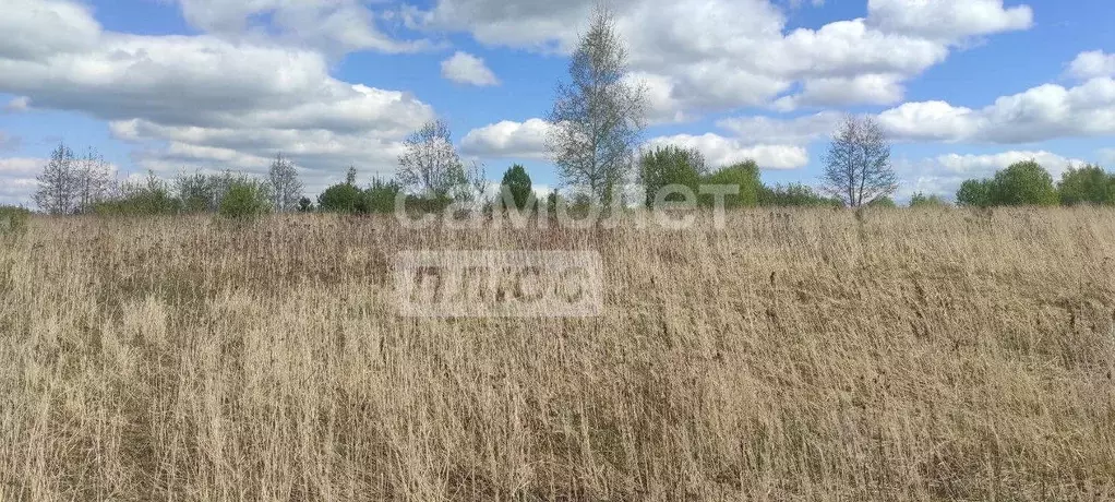 Участок в Владимирская область, Собинский муниципальный округ, ... - Фото 0