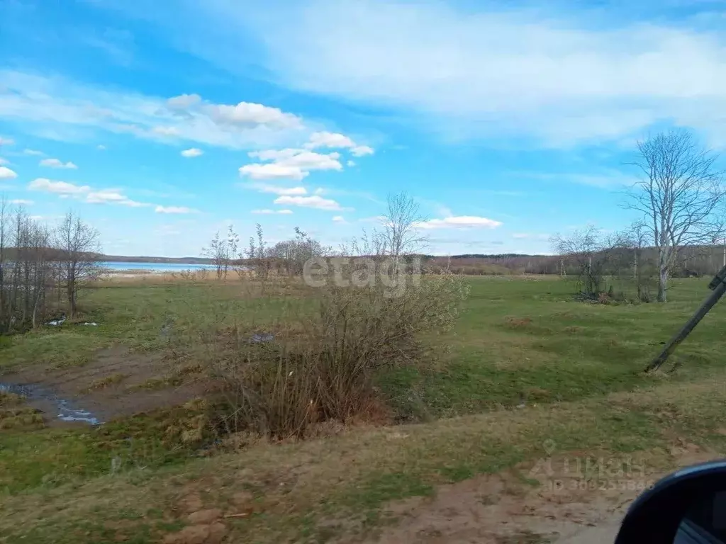 Участок в Нижегородская область, Богородский муниципальный округ, д. ... - Фото 0