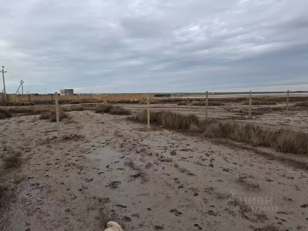 Участок в Крым, Черноморский район, с. Межводное ул. Пограничный ... - Фото 1