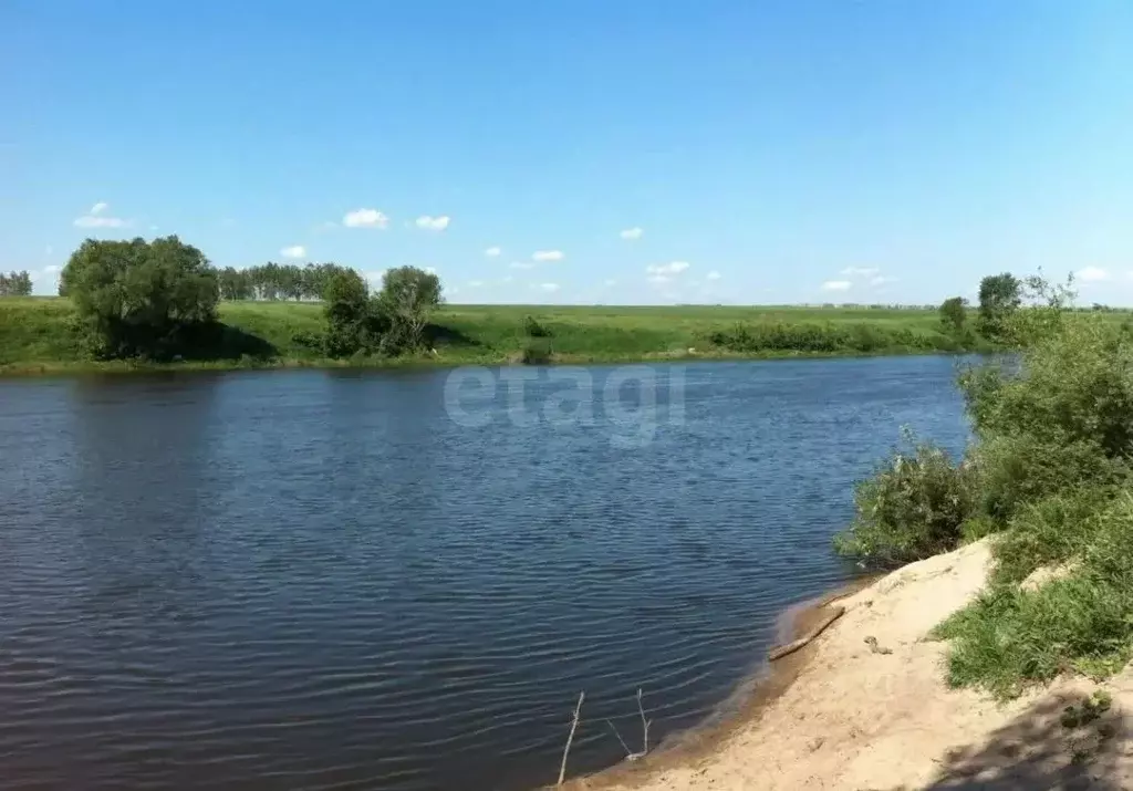 Участок в Липецкая область, Задонский муниципальный округ, д. ... - Фото 2