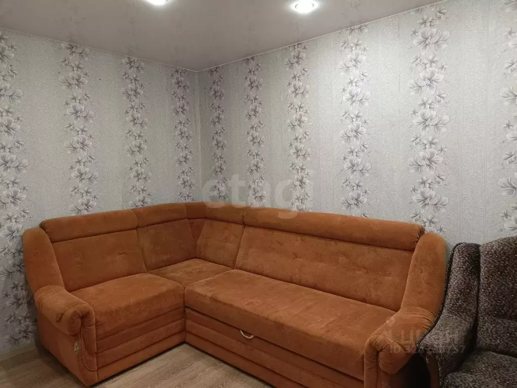 1-к кв. Псковская область, Остров Строитель мкр, 16 (29.8 м) - Фото 2