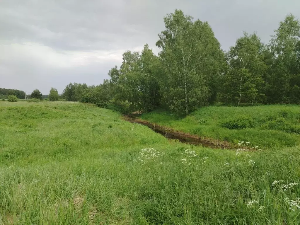 Участок в Нижегородская область, Богородск  (4.0 сот.) - Фото 0