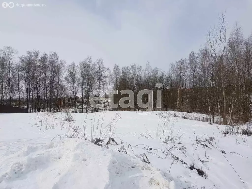 Участок в село Толмачево, СДТ Содружество (6 м) - Фото 1