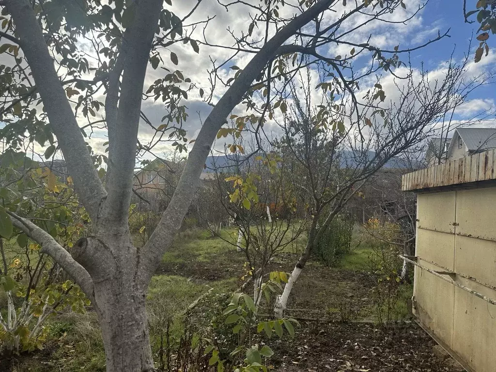 Участок в Крым, Алушта муниципальный округ, с. Нижняя Кутузовка ул. ... - Фото 2