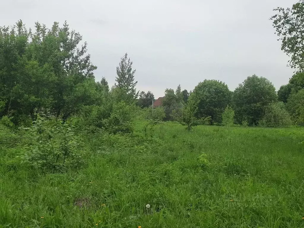 Участок в Московская область, Коломна городской округ, д. Малое ... - Фото 1