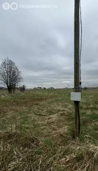 Участок в Оржицкое сельское поселение, СНТ Елагино (10 м) - Фото 1