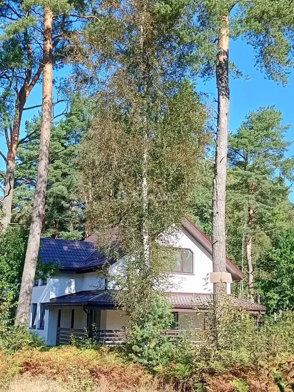 Дом в Ленинградская область, Выборгский район, Полянское с/пос, ... - Фото 2