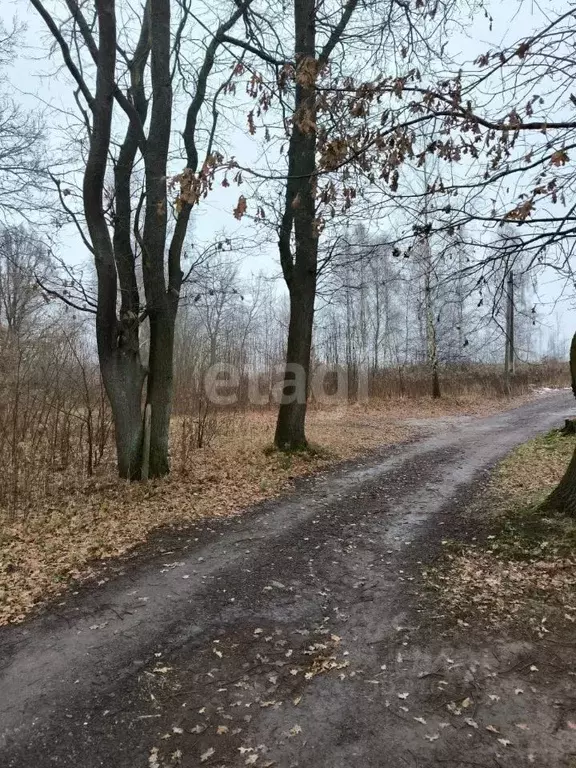 Участок в Калининградская область, Гурьевский муниципальный округ, ... - Фото 0