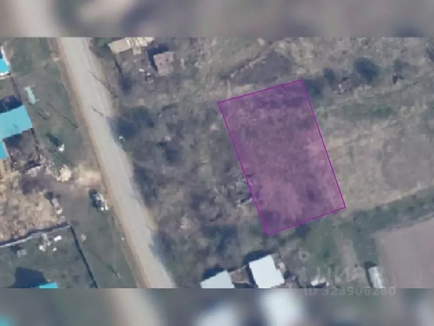 Участок в Пермский край, Куединский муниципальный округ, с. Большие ... - Фото 2