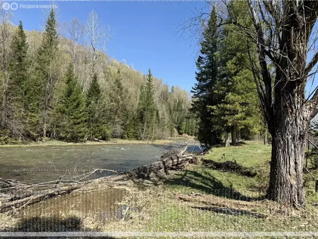 Участок в село Уймень, Береговая улица (23.2 м) - Фото 1