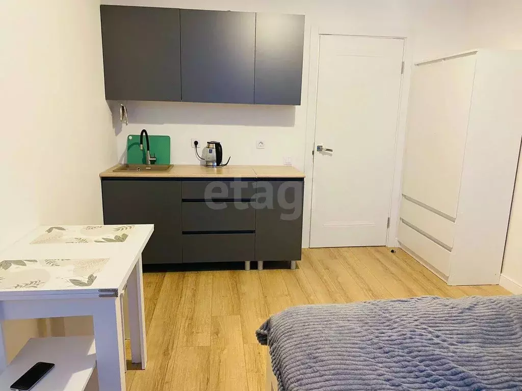 Студия Санкт-Петербург просп. Крузенштерна, 4 (19.7 м) - Фото 1