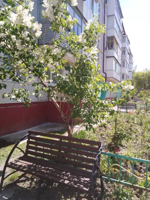 1-к кв. Брянская область, Жуковка пер. Мальцева, 5 (30.0 м) - Фото 0