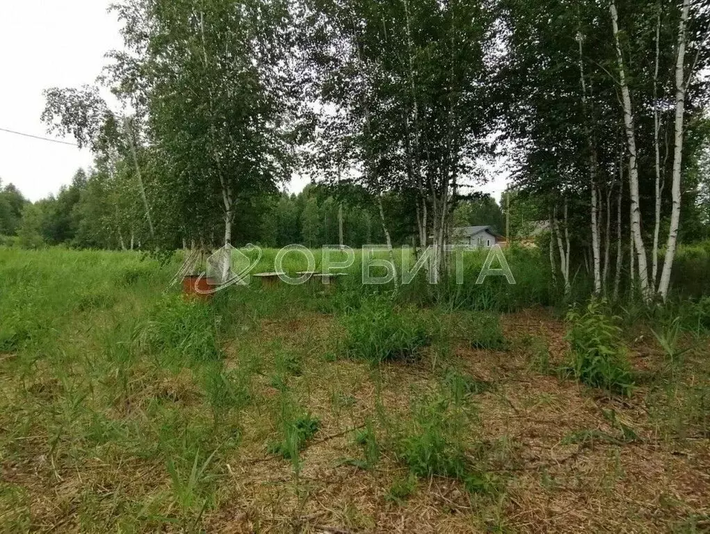 Участок в Тюменская область, Тюменский район, Нива СНТ ул. Яблоневая ... - Фото 1