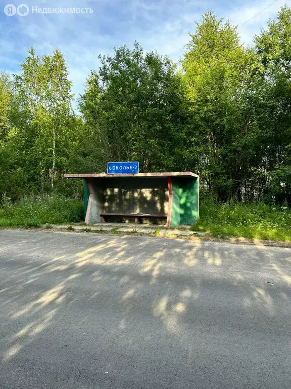 Участок в Вологодская область, Кирилловский муниципальный округ, ... - Фото 0