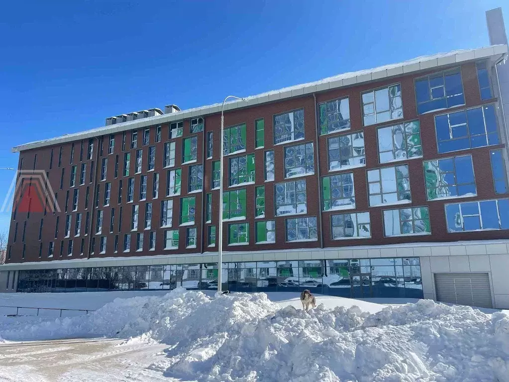 Офис в Башкортостан, Уфа Амурская ул., 22 (8290 м) - Фото 2