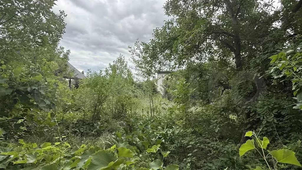 Участок 5 сот. (СНТ, ДНП) - Фото 1