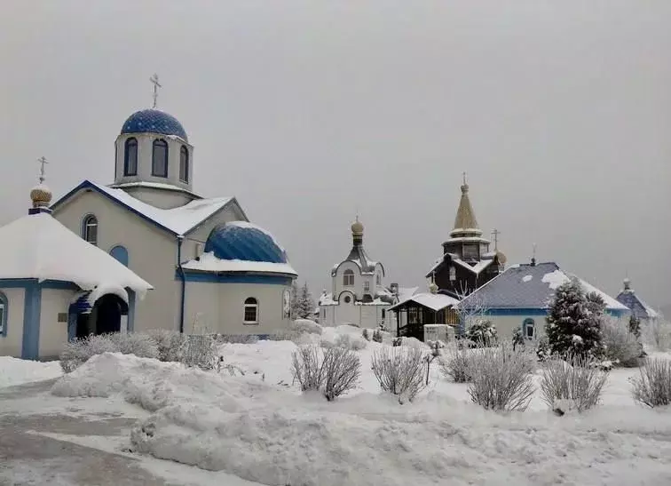 Участок в Московская область, Пушкинский городской округ, д. Артемово  ... - Фото 2
