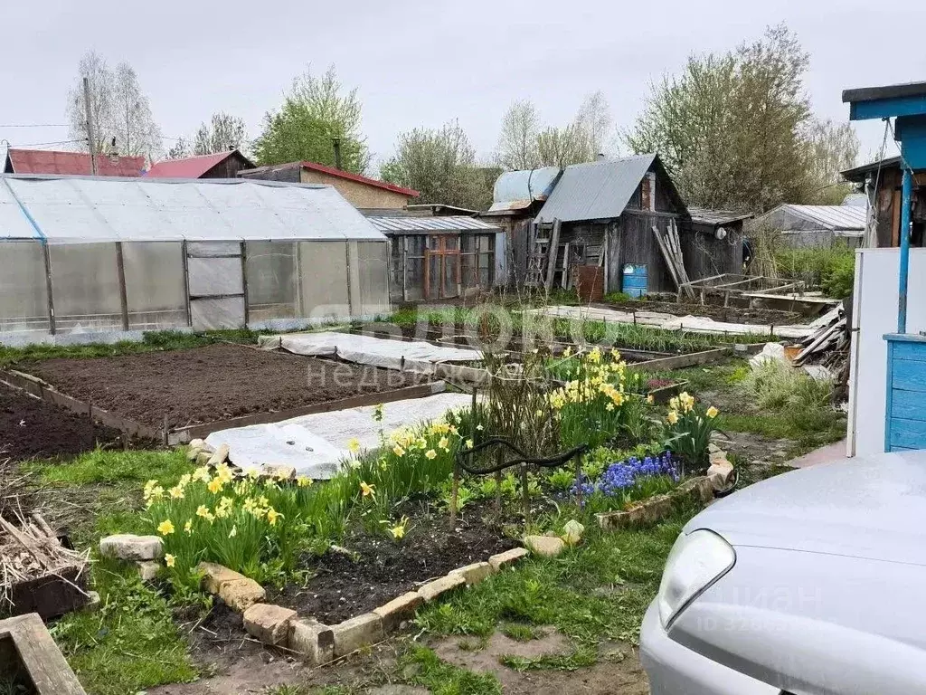 Дом в Пермский край, Березники № 42 СНТ,  (30 м) - Фото 1