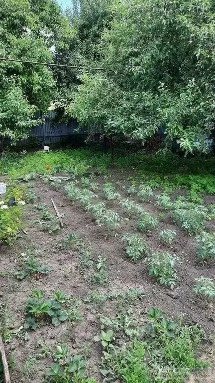 Дом в Самарская область, Самара Оршанский пер. (44 м) - Фото 2