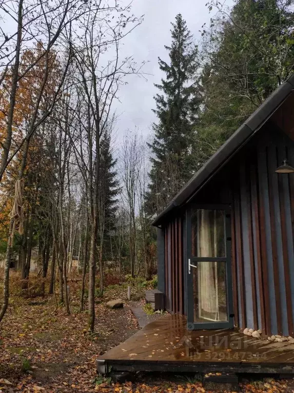 Участок в Ленинградская область, Выборгский район, Первомайское с/пос ... - Фото 1