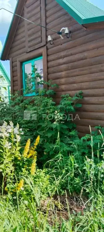 Участок в Новосибирская область, Мошковский район, Медик СНТ 935 (6.0 ... - Фото 1
