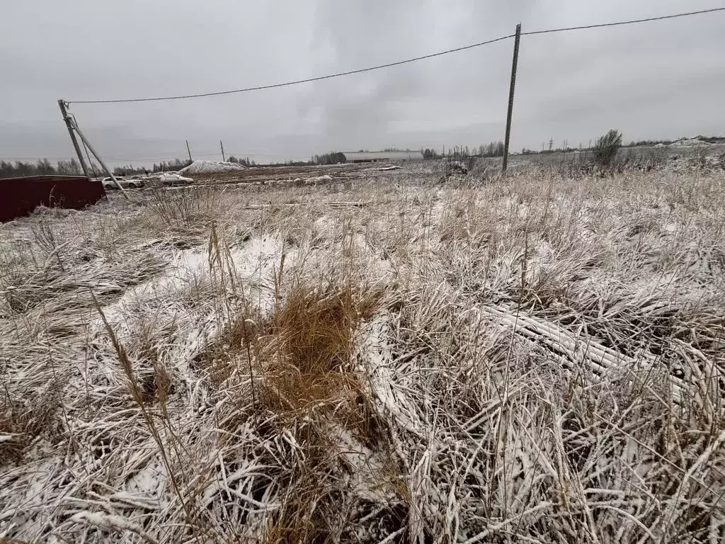 Участок в Смоленская область, Смоленский муниципальный округ, д. Лубня ... - Фото 2