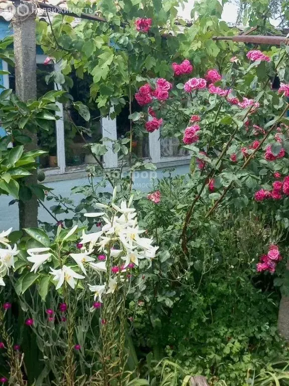 Дом в Республика Крым, муниципальный округ Феодосия, село Южное, ... - Фото 1