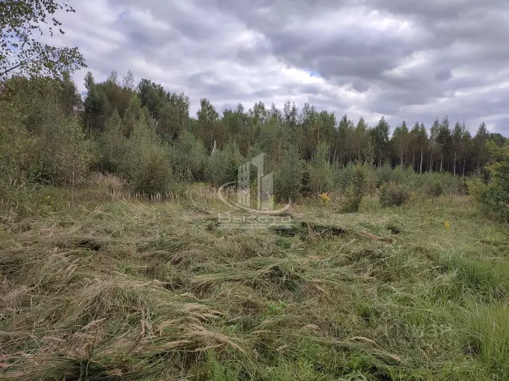 Участок в Калужская область, Ферзиковский район, Ястребовка с/пос, д. ... - Фото 2