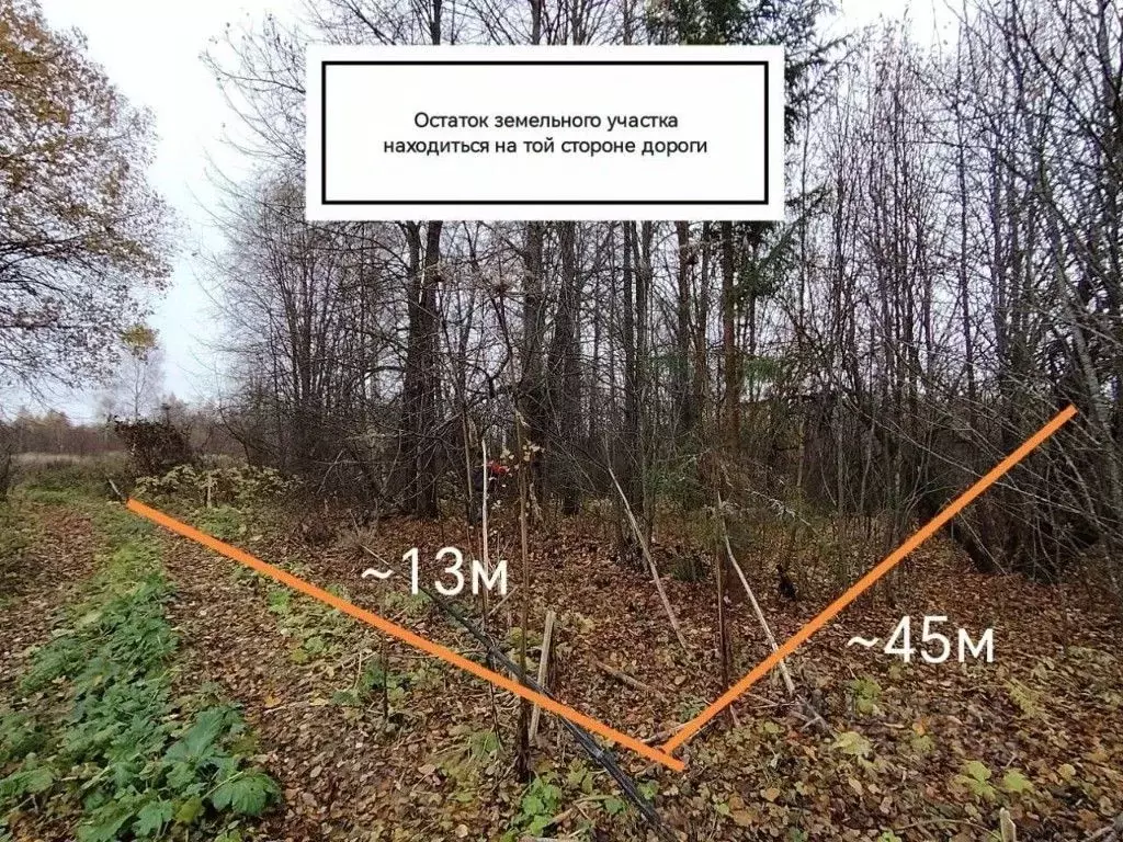 Участок в Тверская область, Старицкий муниципальный округ, д. Борисово ... - Фото 2