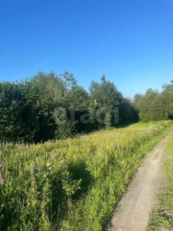Участок в Карелия, Прионежский район, с. Деревянное пер. Ивовый (15.0 ... - Фото 0